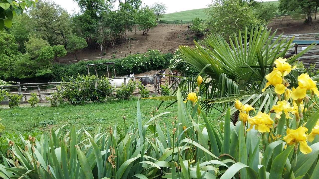 San Filippo Villa Acquapendente Buitenkant foto